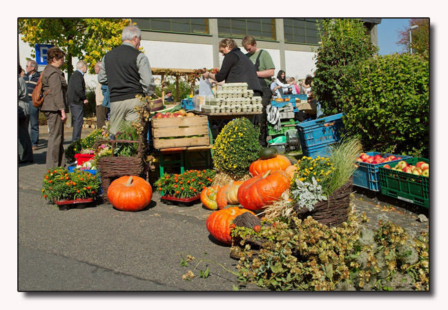 Markttreiben auf dem Bauernmarkt